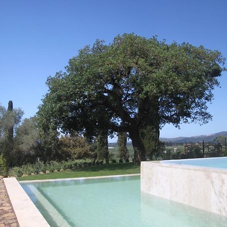 Agriturismo Il Broletto Suvereto Zewnętrze zdjęcie